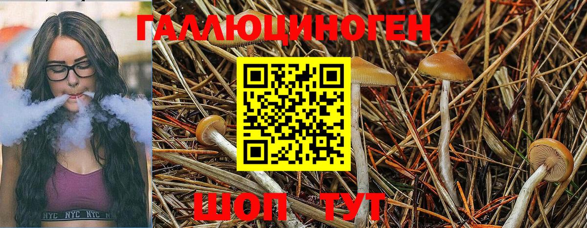 Псилоцибиновые грибы MAGIC MUSHROOMS Железногорск